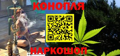 сатива Будённовск