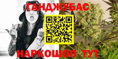 сатива Будённовск