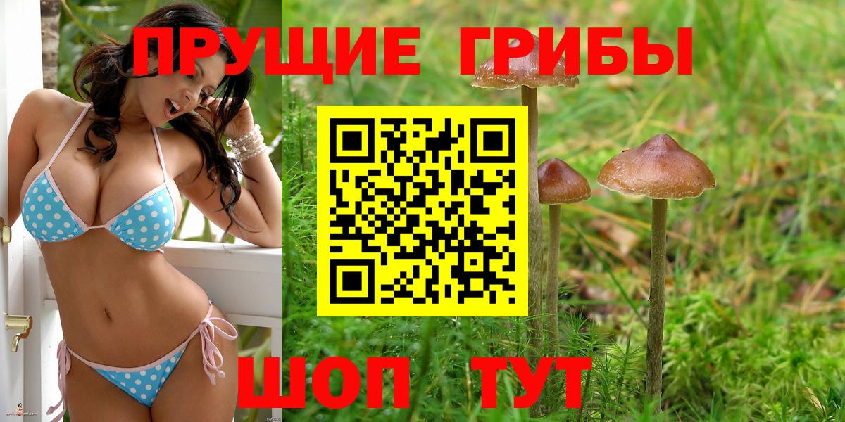 Галлюциногенные грибы Cubensis Учалы